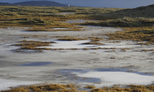 Frozen Machair, from Bornish beach, South Uist.