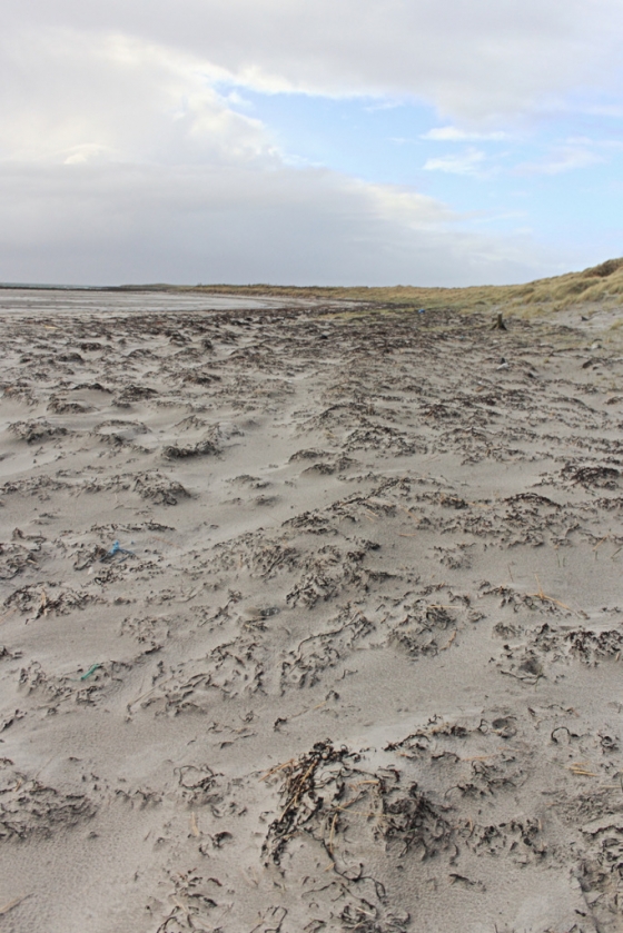 The beach behind the Dark Island Hotel