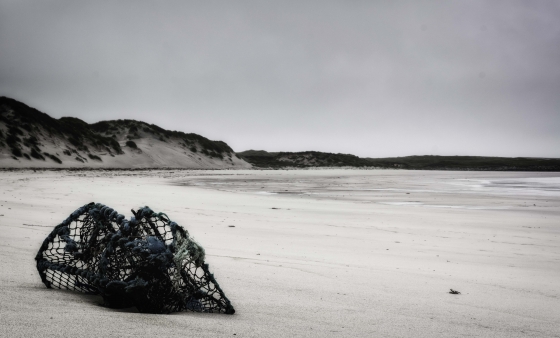 Washed up on Traigh Udal